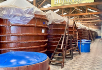 守护海之魂-提升富国鱼露品牌价值