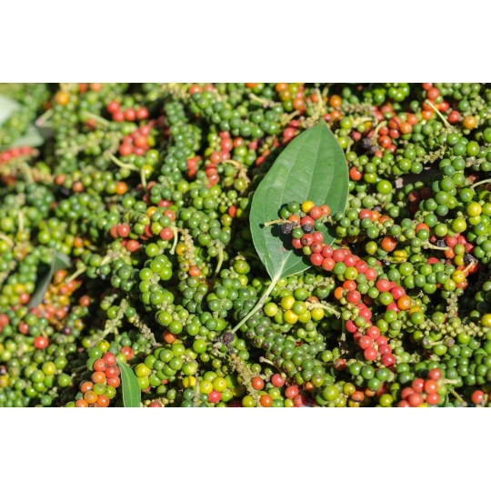 Tiêu chín xay nguyên chất - Đặc sản Phú Quốc